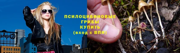 прущие крисы Горно-Алтайск
