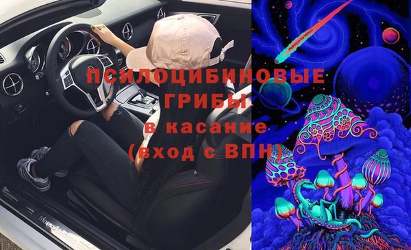 СК Горняк