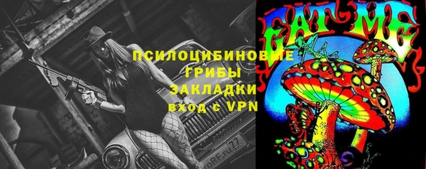 СК Горняк