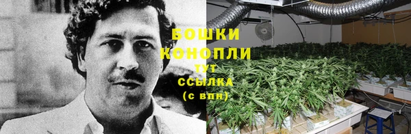 прущие крисы Горно-Алтайск